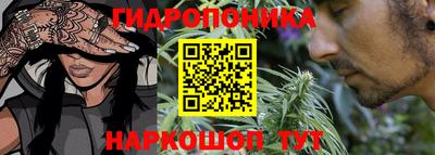 тгк Камышлов